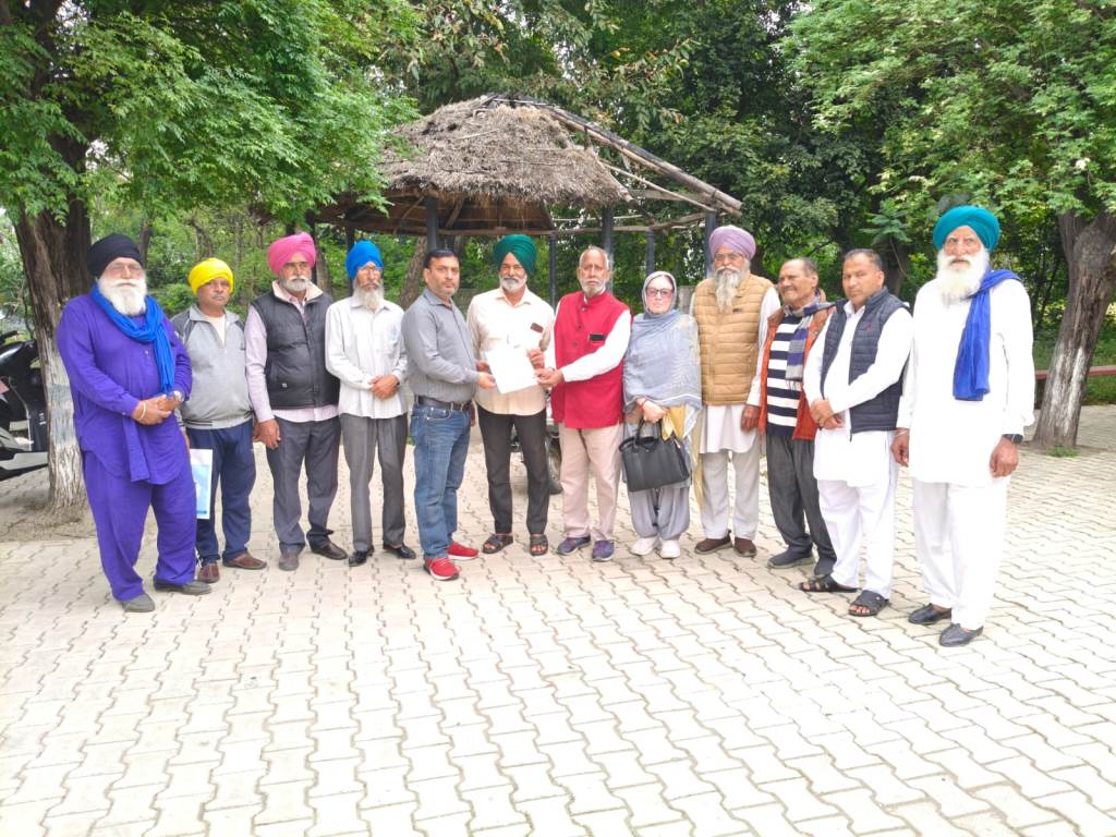 Government should manage stray cattle dogs Mattu
